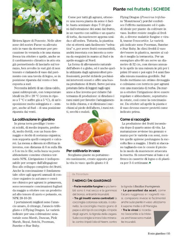 Il Mio Giar Apr-Mag 2022 (8)