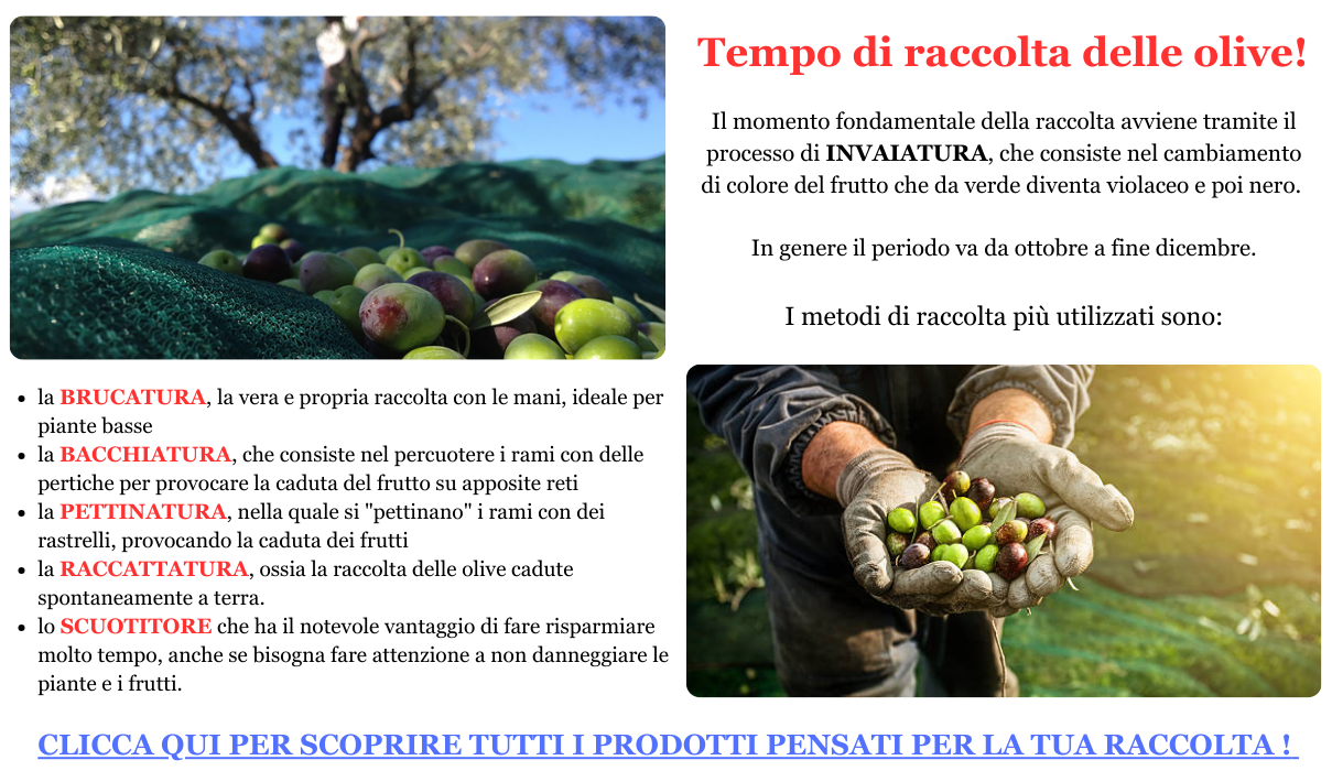 rete telo per la raccolta olive antispina pesante con occhielli occhiellato