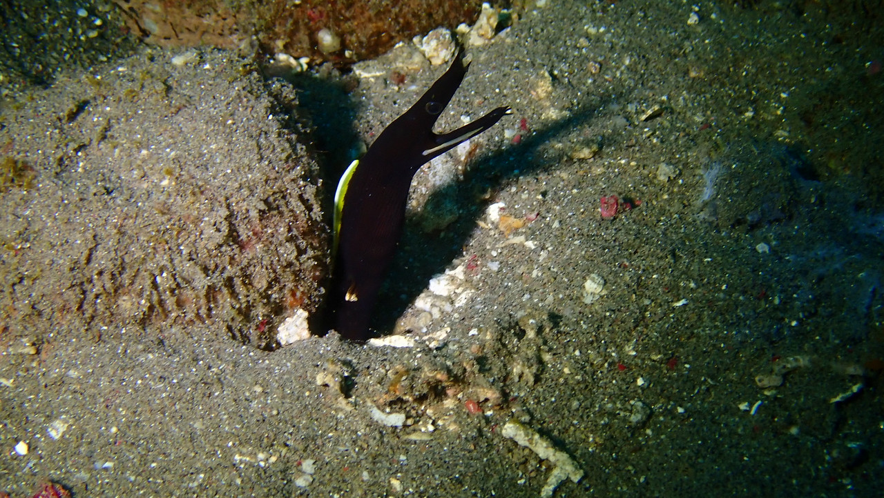 6537D423-453D-4A25-827F-DCE2775A3ED3