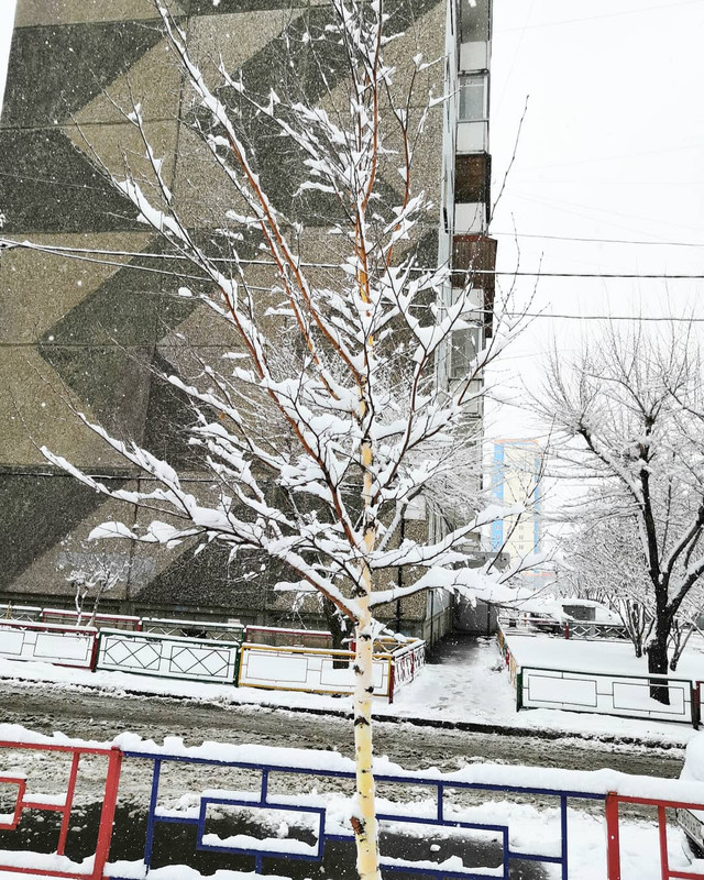 IMG_20190429_104259_868