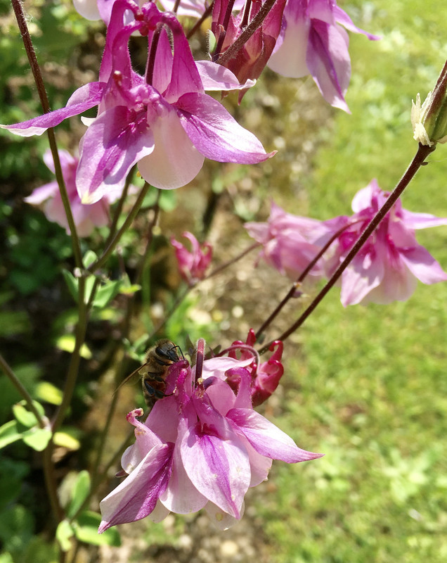 89FAD04F-3765-4C0A-B4A0-58728D2476EA