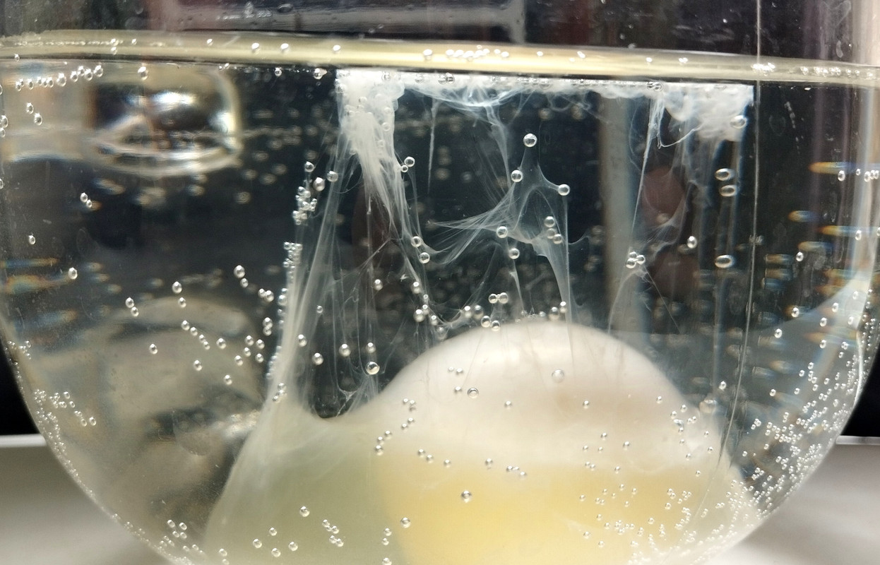 al_4IMG_20241001_081356