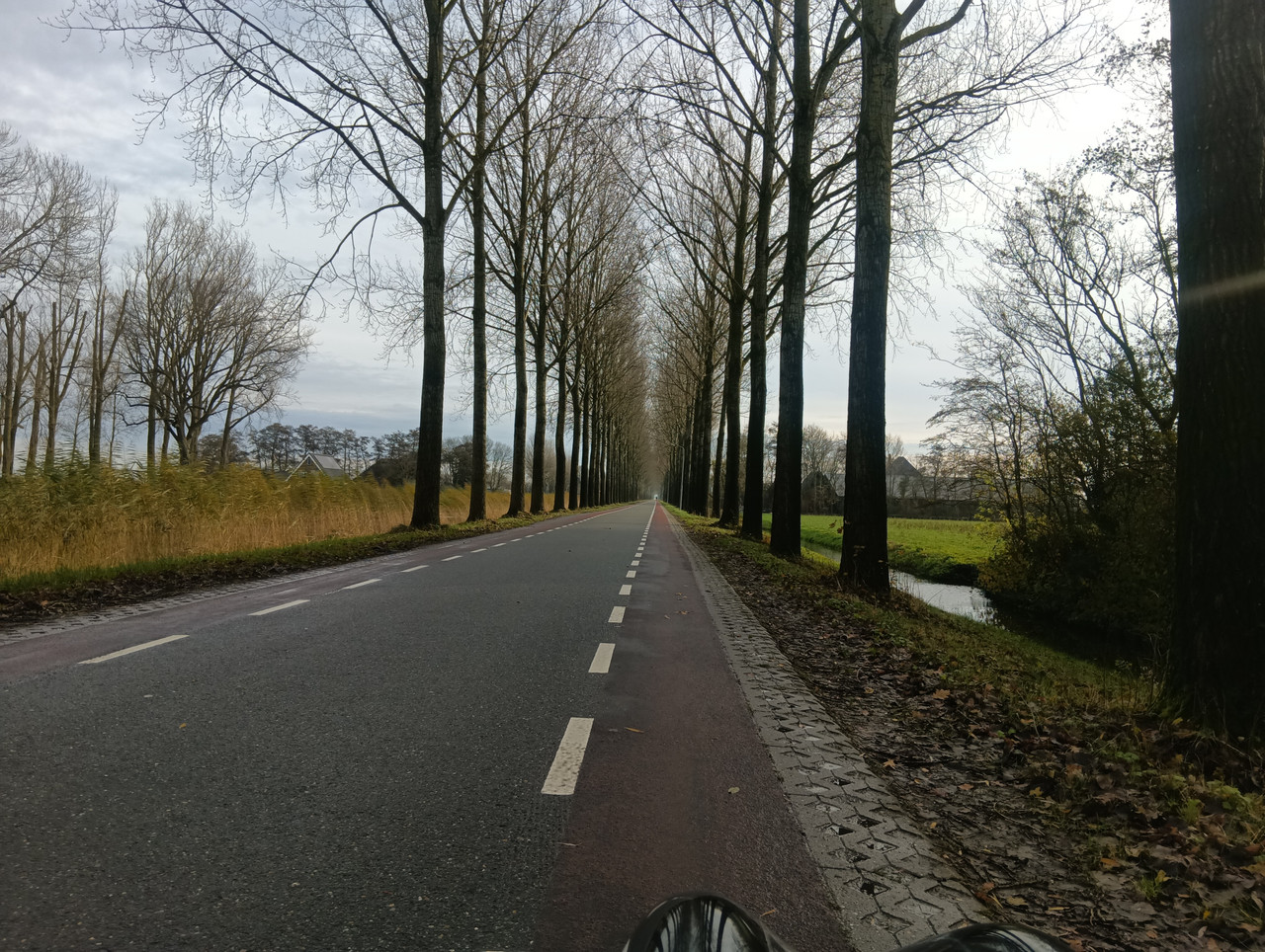 [Afbeelding: IMG-20251122-111923-1.jpg]