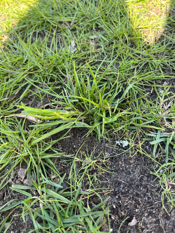 B2C34B09-C31B-4D2D-8742-68C489E8F4E9