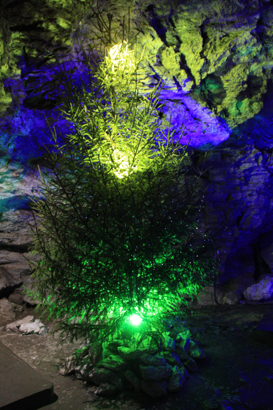 IMG_8978_обработано