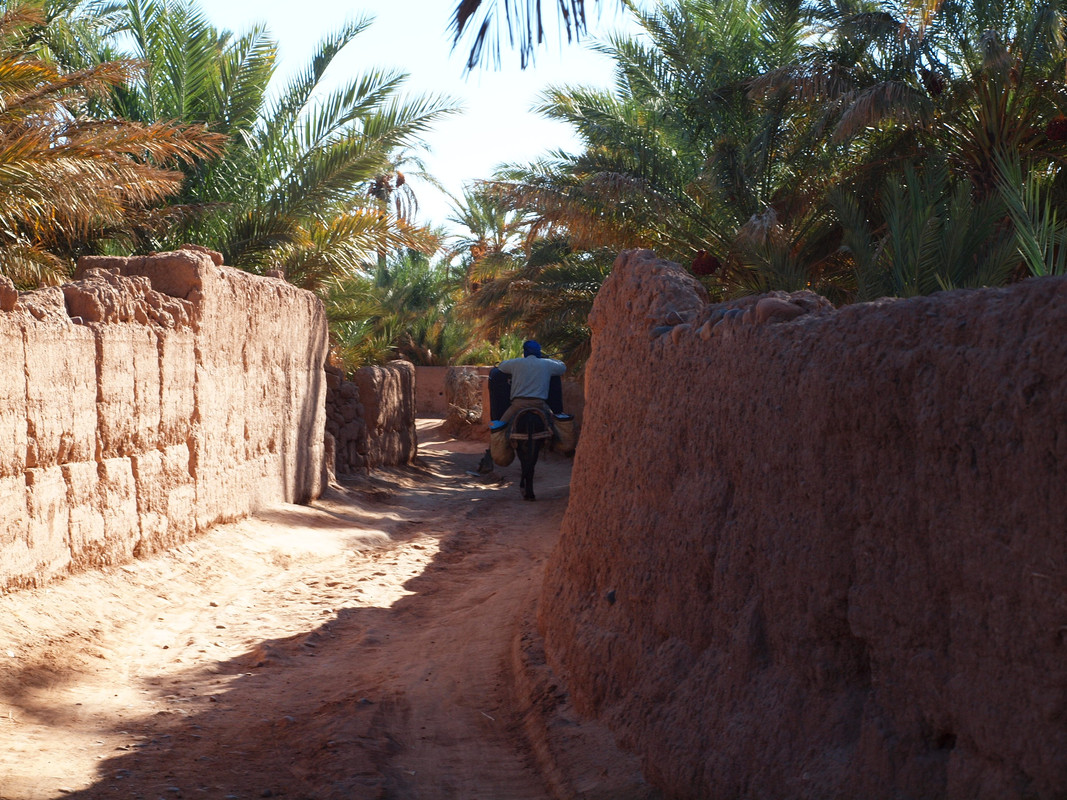 El palmeral de Ternata : Zagora y Tissergate - El Valle del Drâa, la gran arteria del sur de Marruecos (11)