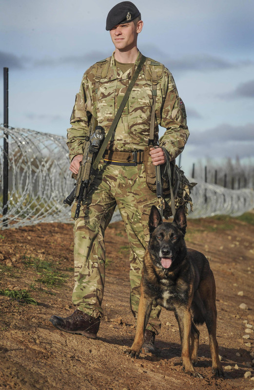 Brit 102nd Military Working Dog Section