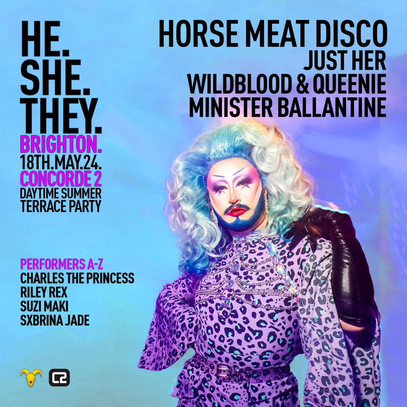 1711072-15c8de80-he-she-they-eflyer