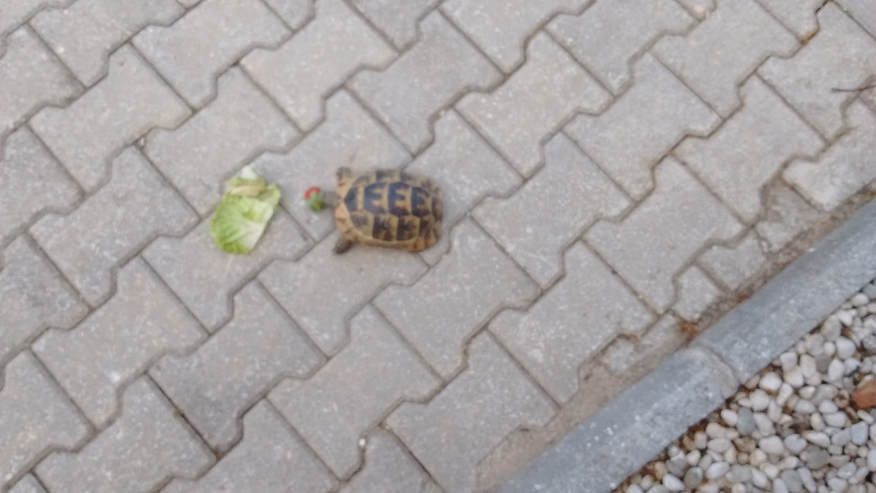 IMG_20180517_094558266