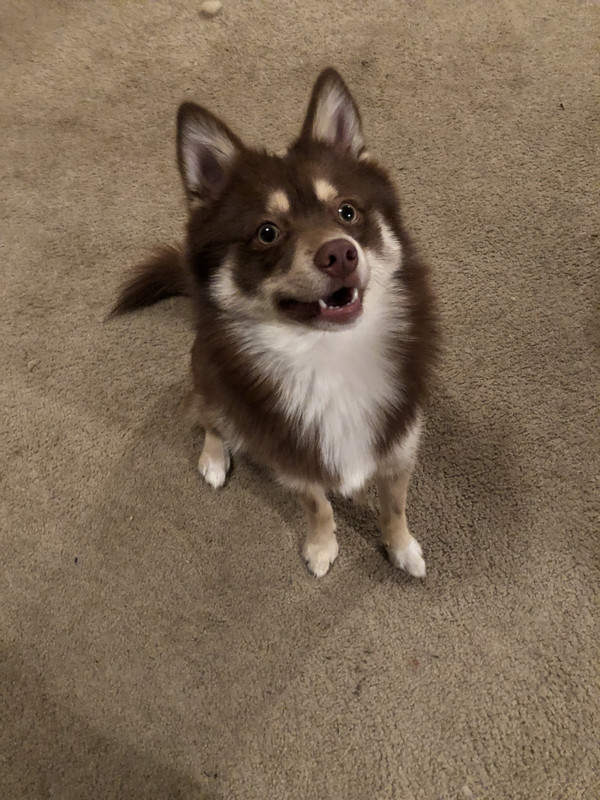 4F17867B-CE61-49E0-8CB9-493EDD19BF64