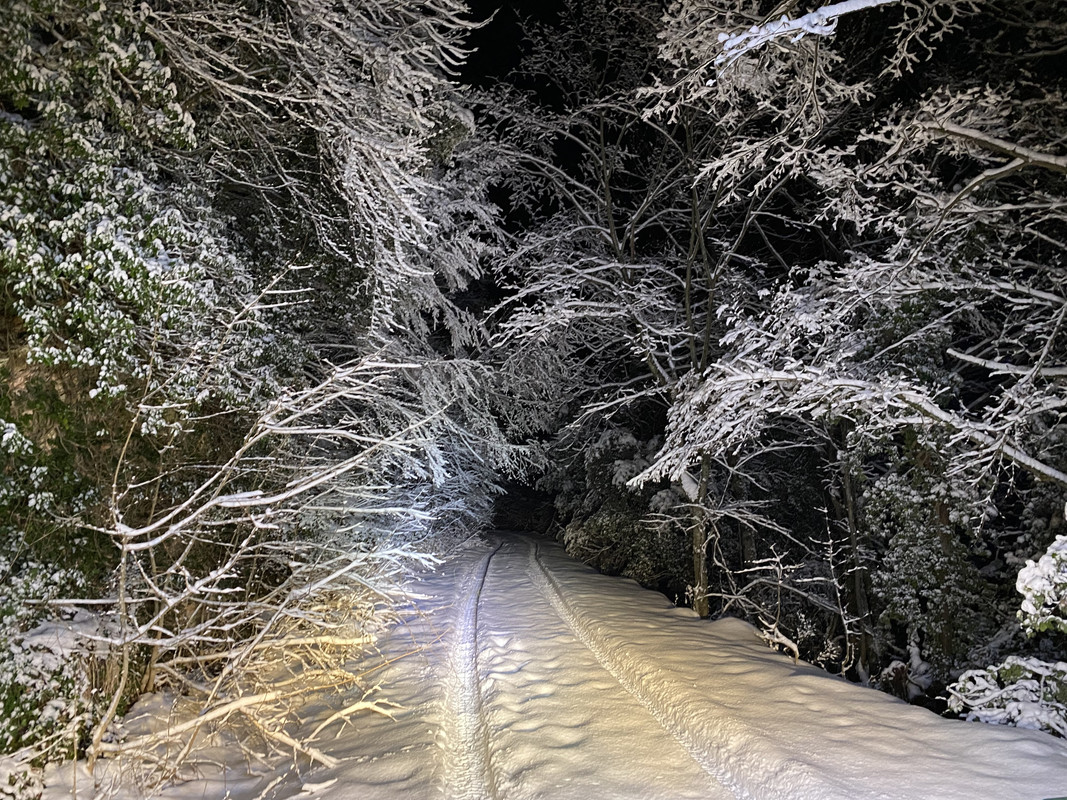 CC16CD53-FD3E-43A8-AAFE-7762A93D9382