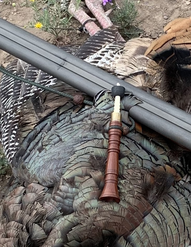 A452DF4C-E083-4BE8-9219-C59B7BC65E7F