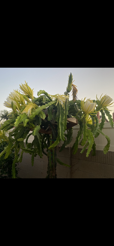 64F6E0F0-7C28-422F-B745-FA3C87AAA535