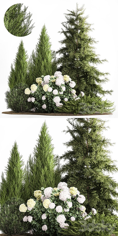 Garden of spruce, pine, topiary, white hydrangea bush, flowers, juniper, alpine hill. Plant set 1181