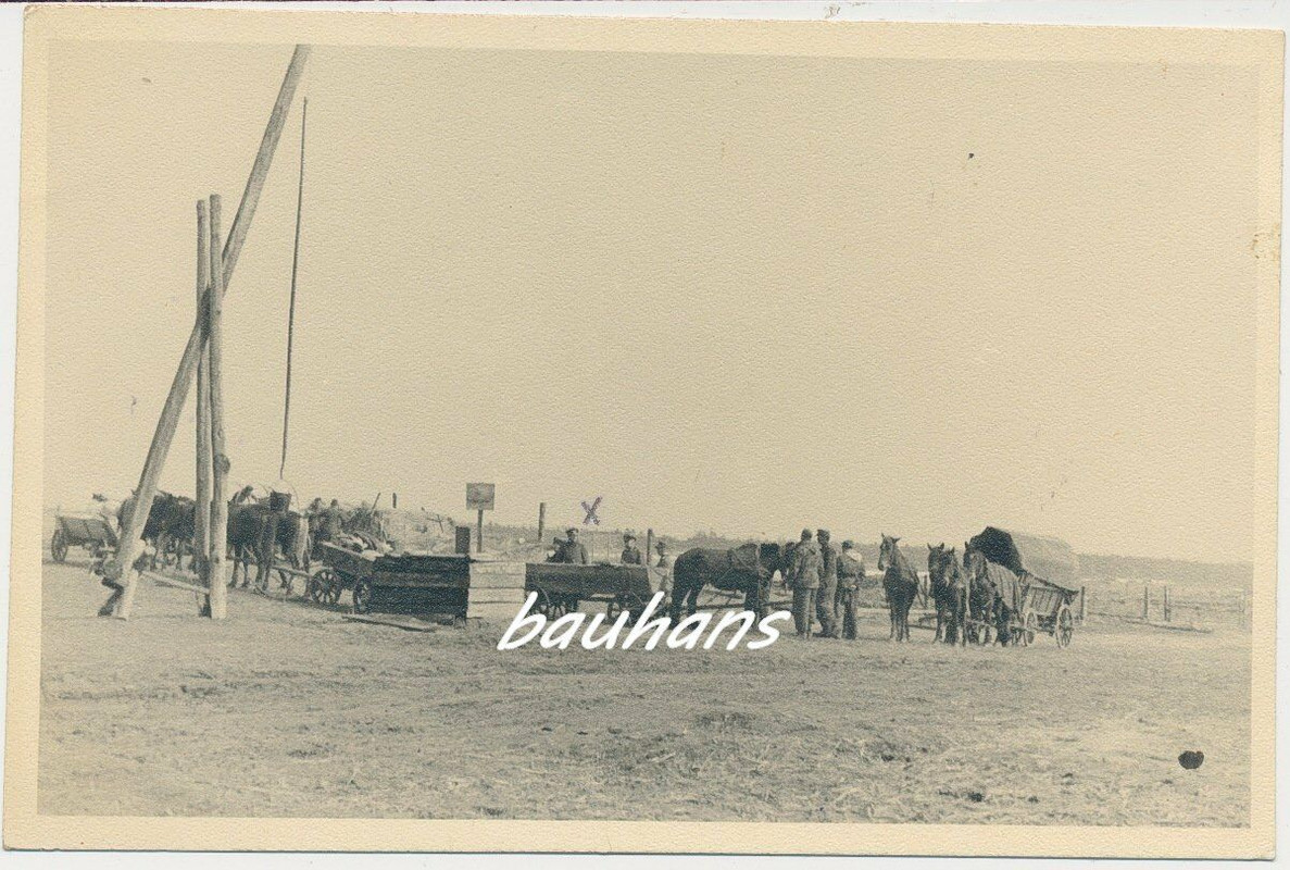 Foto Russland Pferdegespanne auf dem Rückmarsch