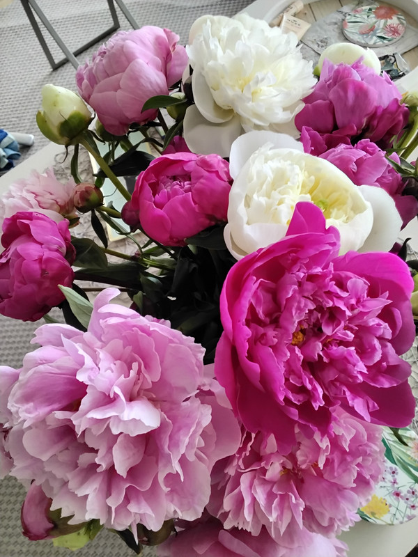 [Image: 20250522-093033.jpg]