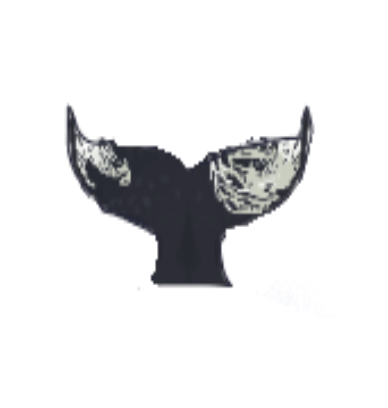 ability_whaleTailHit