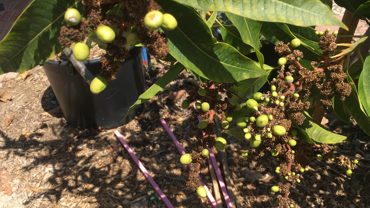 407A948A-9FDE-4718-A0DF-4FC22D706A30