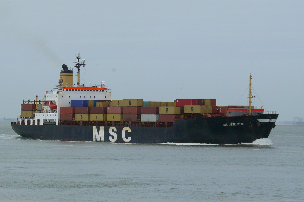 MSC Lieselotte@WesterscheldeTerneuzen16062013hpa (2)