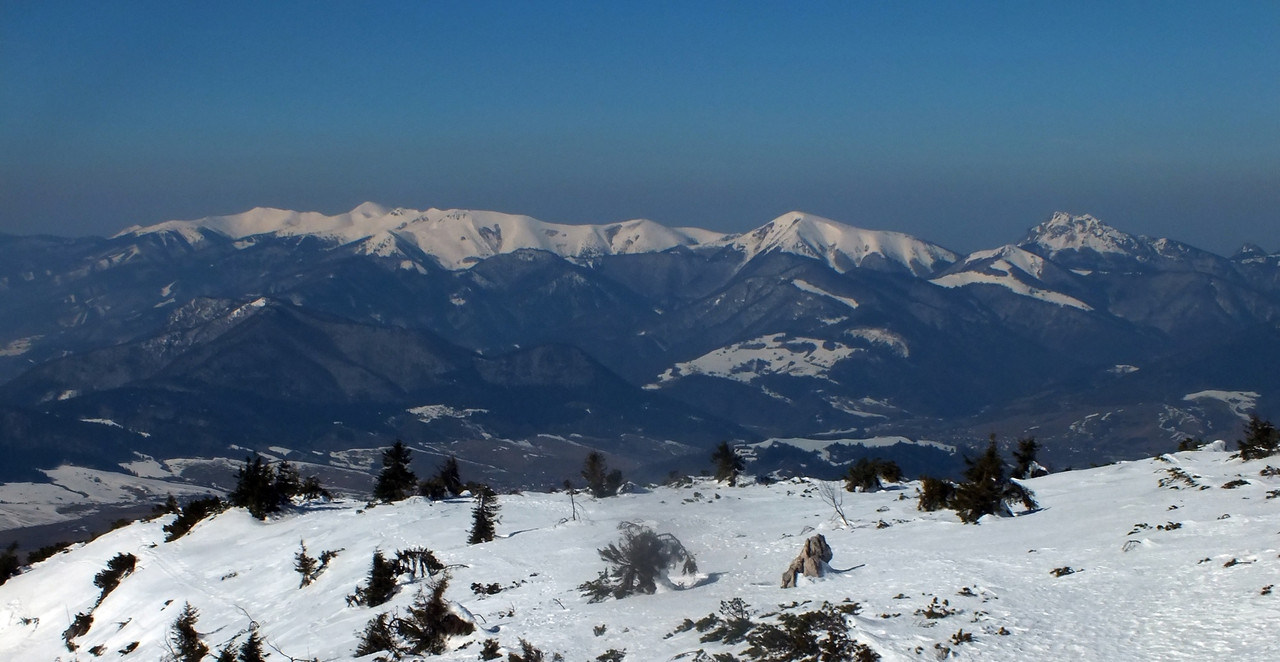 2019_0228WIELKI_CHOCZ0090