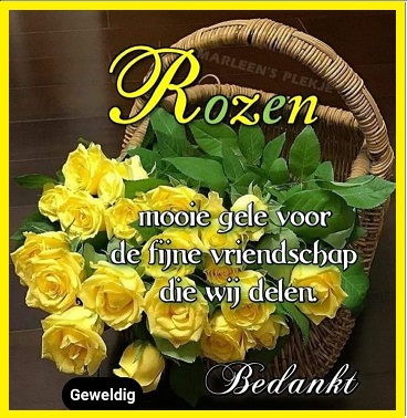 936f8b818484e8c6d4aa4f3db5a5fc9c-1-3