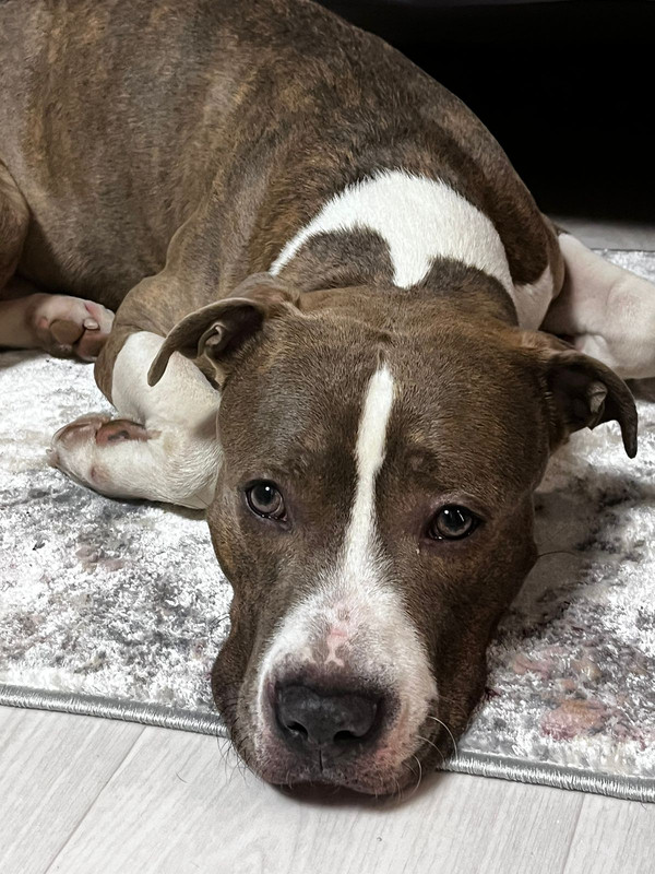 A75E947D-A0F2-4776-9953-E5D167F54B67