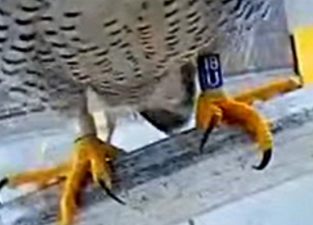 Przechwytywanie w trybie pełnoekranowym 03.02.2025 173321