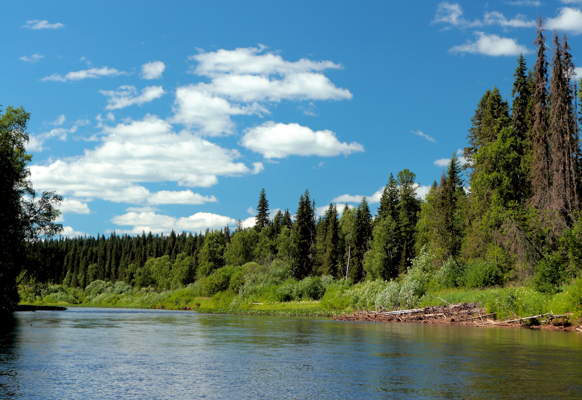 IMG_6115 (9000 x 6186)