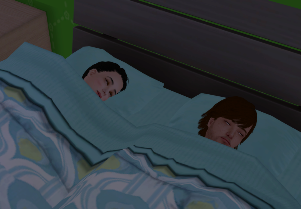 Sims2-EP9-RPC-2021-11-06-16-11-57-63