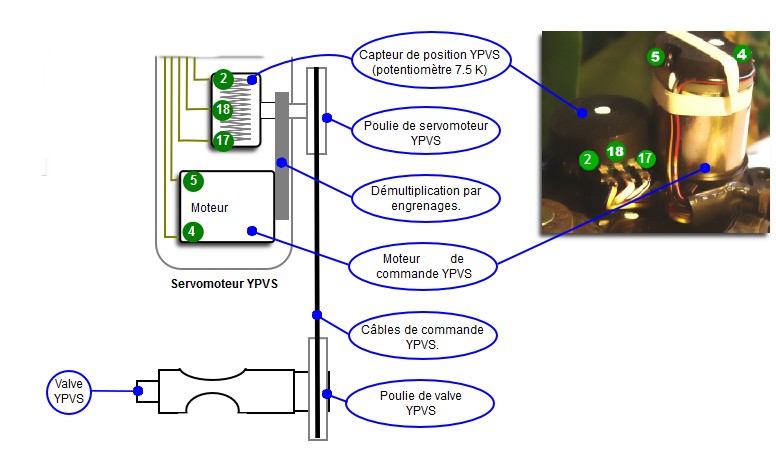 Capture d'écran 2024-02-29 155300