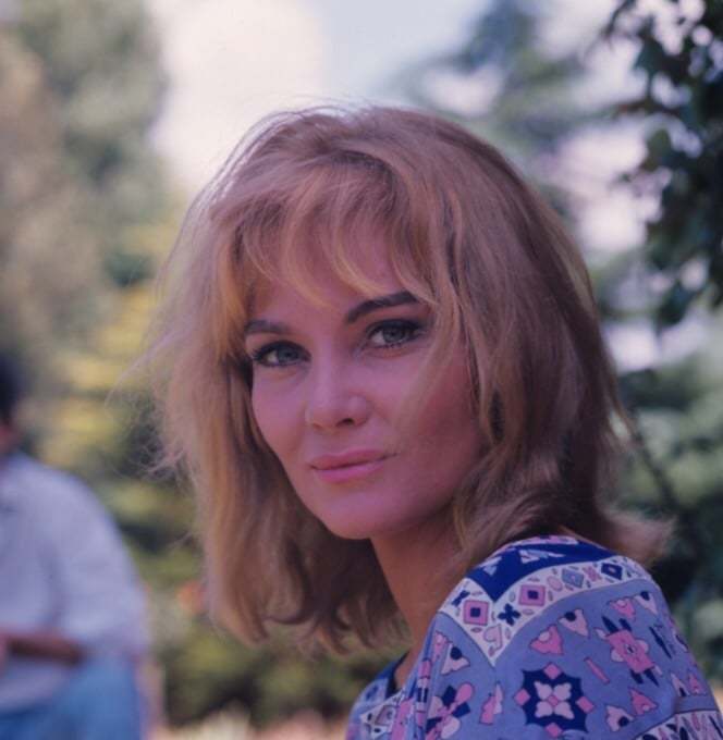 diane cilento a77