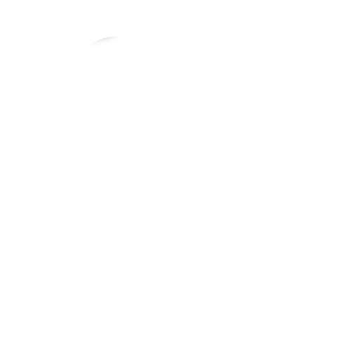 Icon Partner