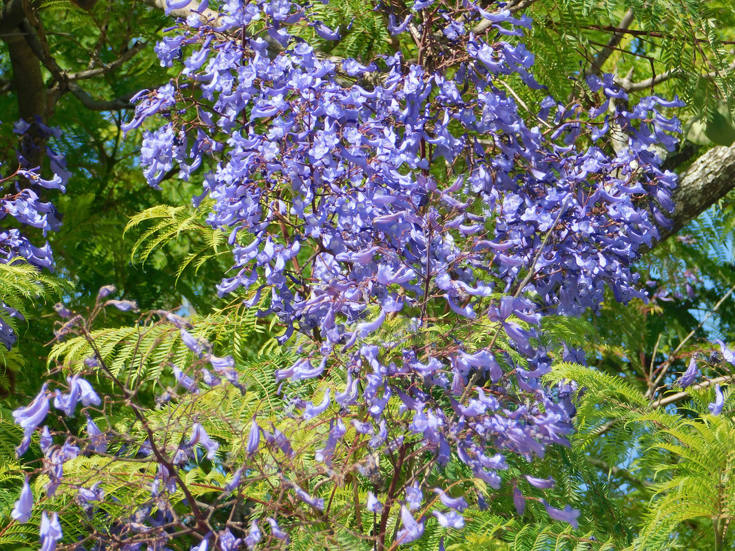 DSCN0846.jpg