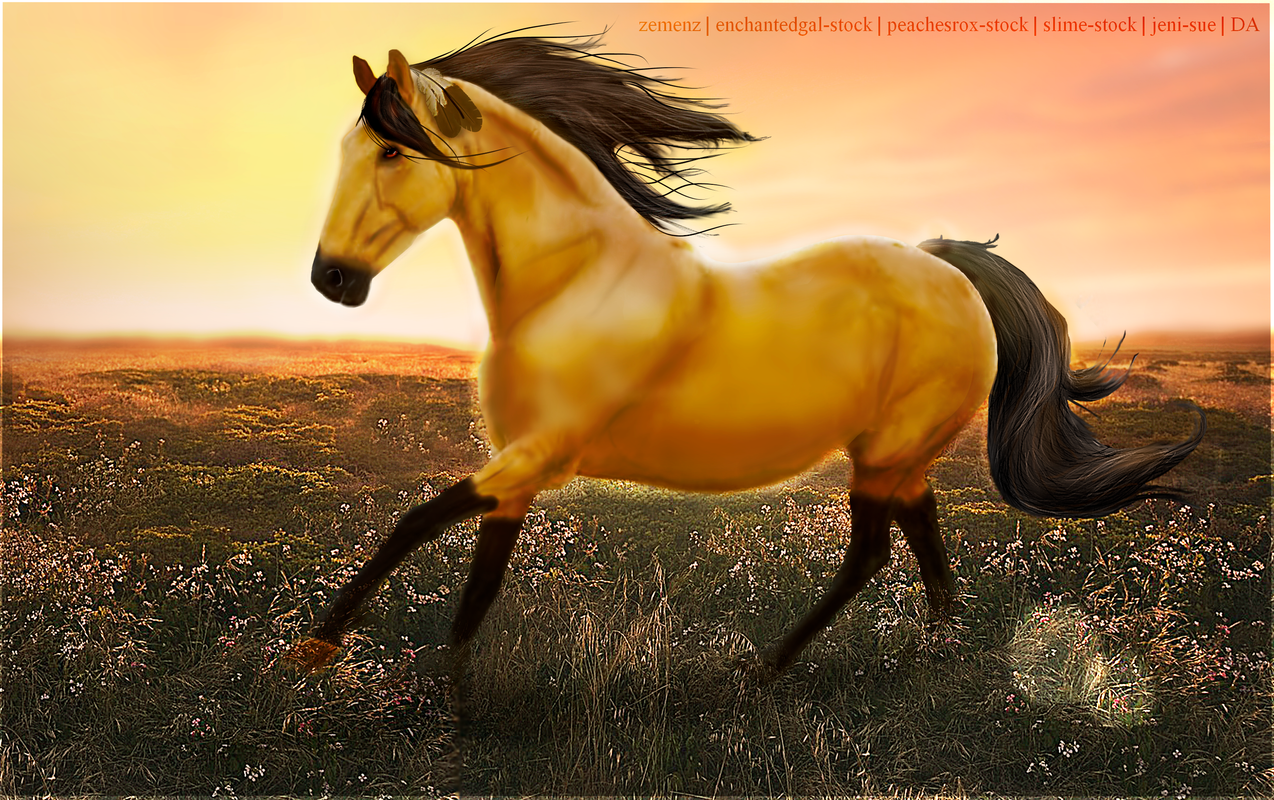 buckskin.png