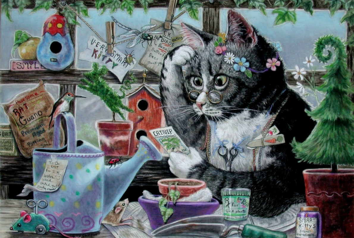 0-64-a-Smart-Kitty