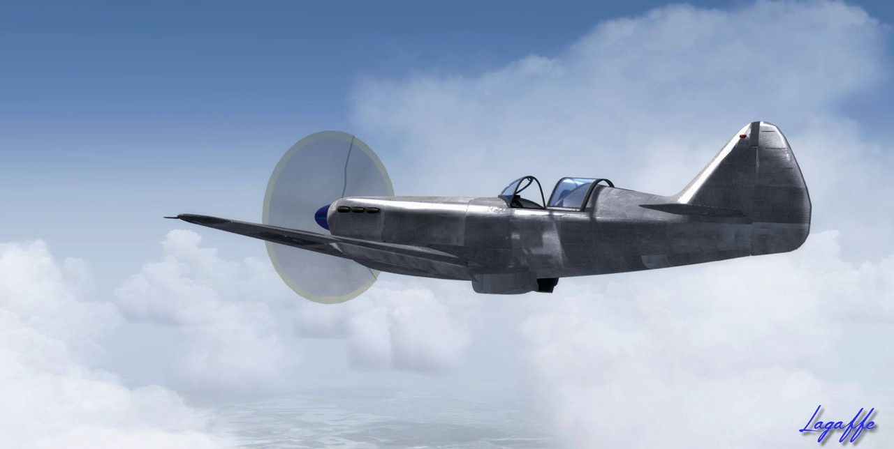 D551-Flying.jpg
