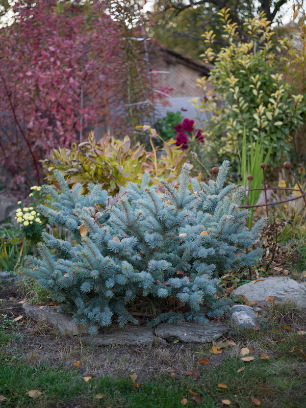 IMG-4bc2f5ff1a11920d270a52960bd06bcf-V