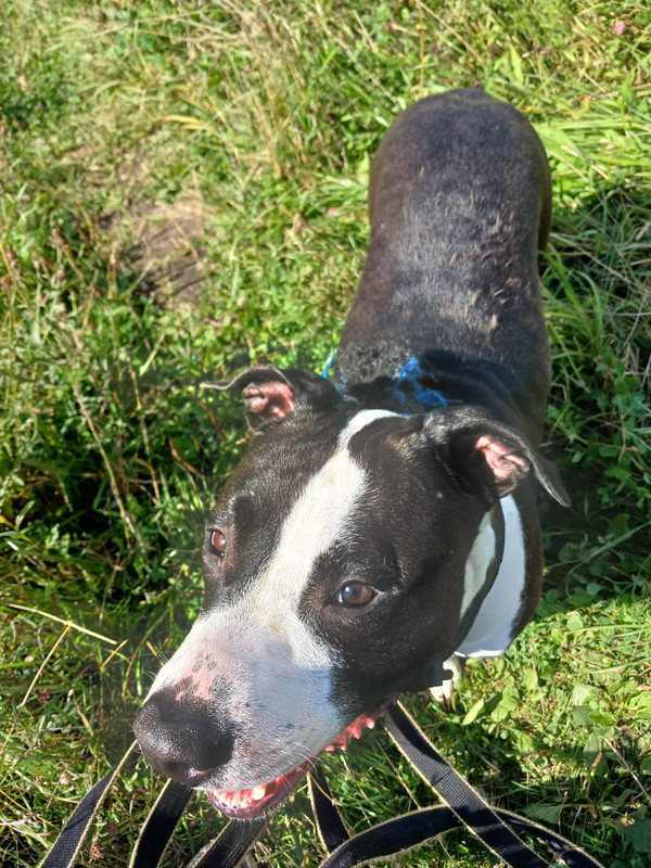 WhatsApp Image 2024-08-15 at 11.02.15 (1)