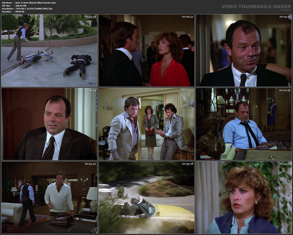 Hart To Hart S02e02 What Murder.mkv