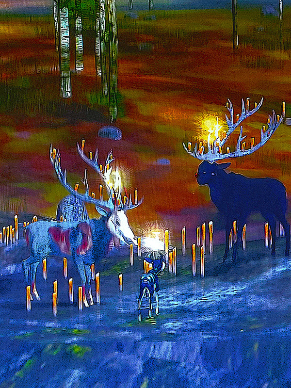 TEF_Christmas_2025_2