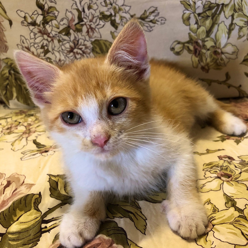 BB3329E6-E81F-4726-AD35-4F312BB953B5