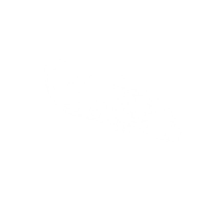 e135_ks