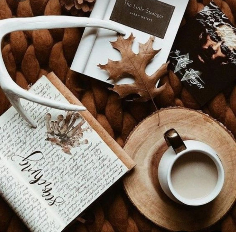 Screenshot_20240629_001320_Pinterest