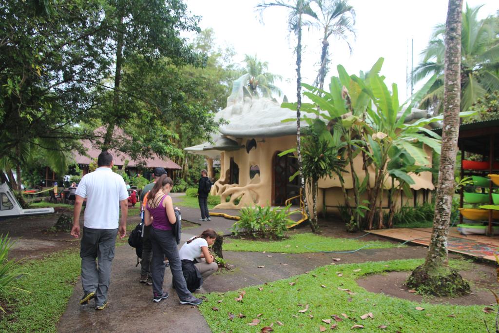 DIA 2: LLEGADA A TORTUGUERO - DE TORTUGAS Y PEREZOSOS. COSTA RICA 2019 (19)