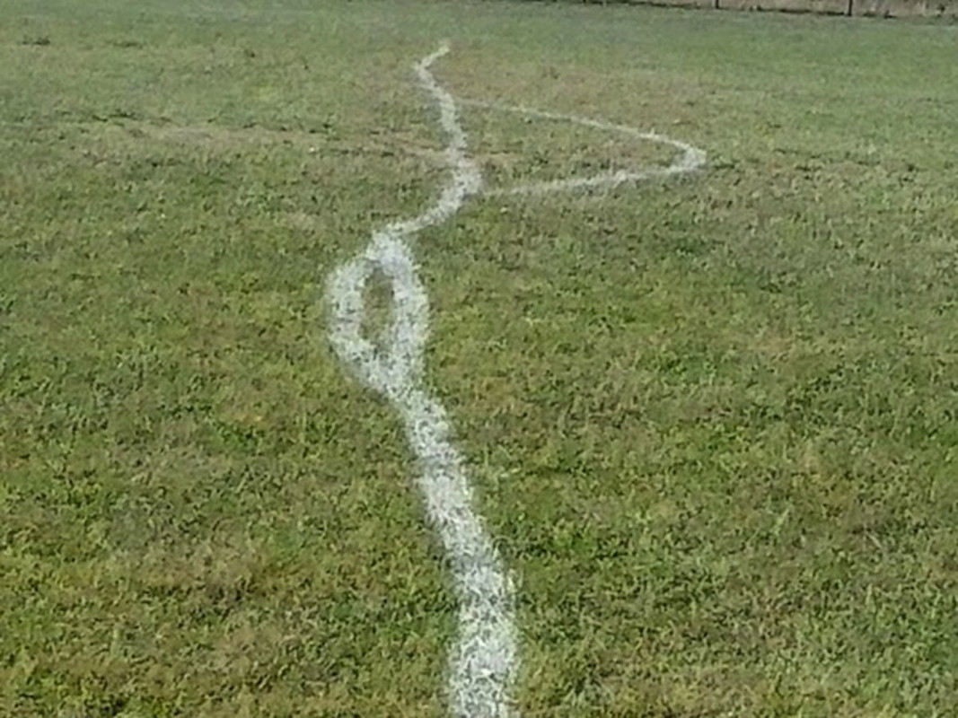 image-placeholder-title