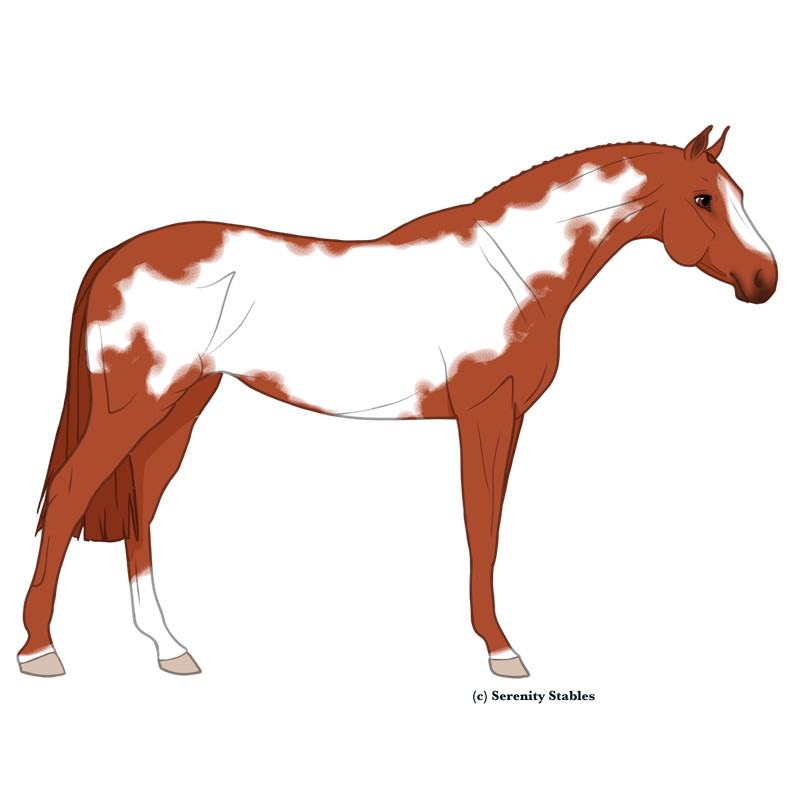 Untitled526-20240529090505.png
