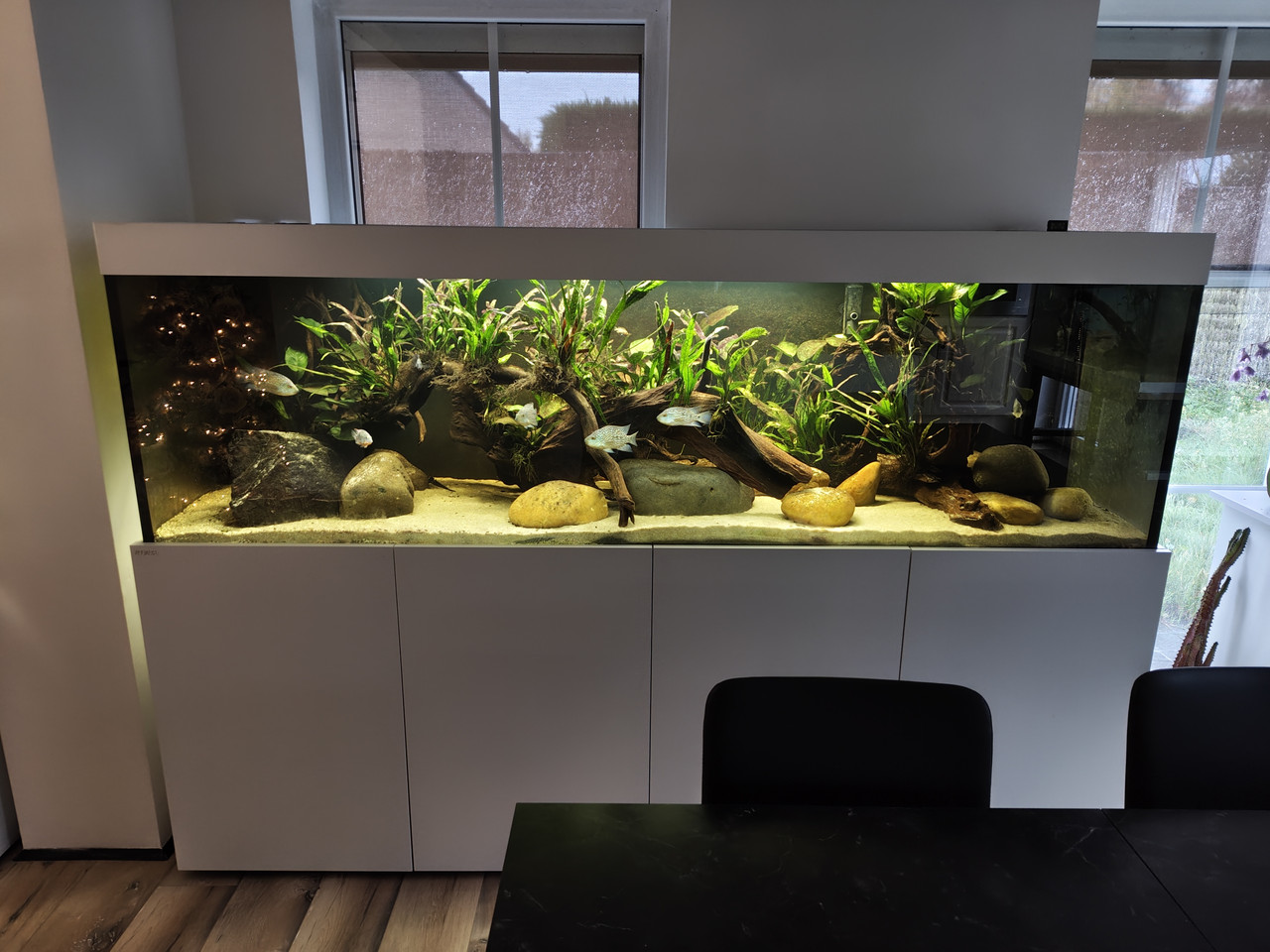 IMG 20251206 154659413