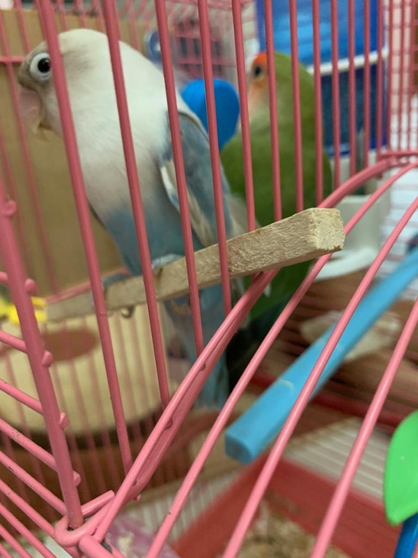 A2E7C260-B561-442F-A371-B4C9A1A356CD