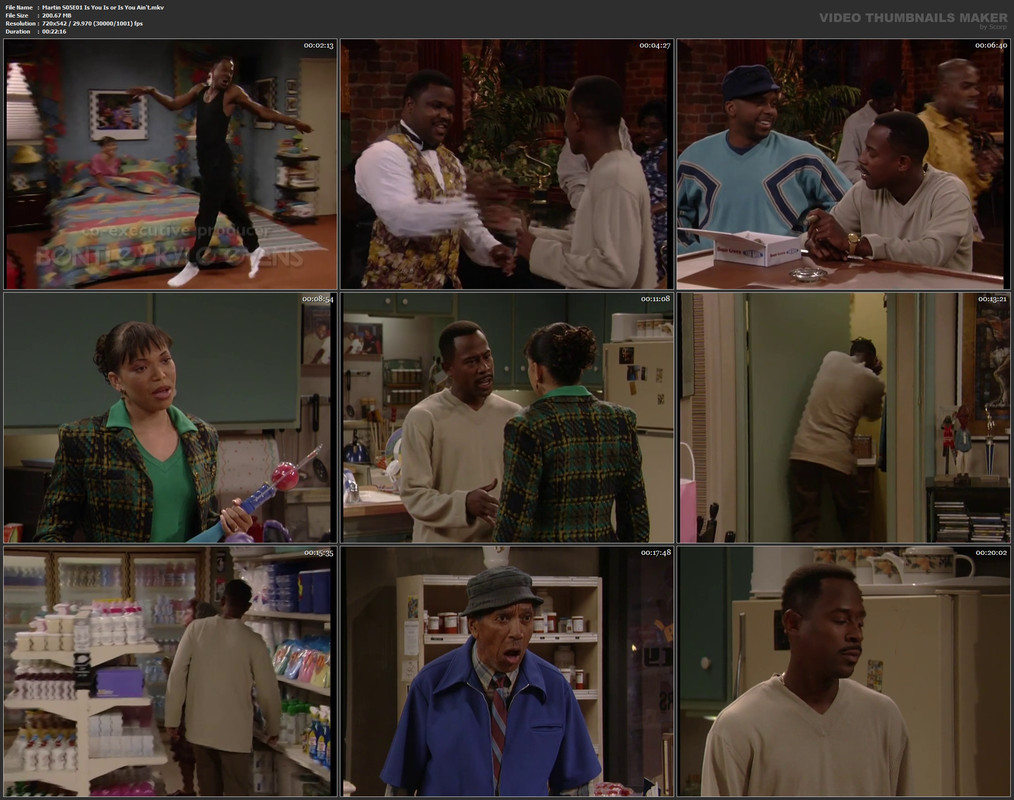 Martin S05E01 Is You Is or Is You Ain't.mkv