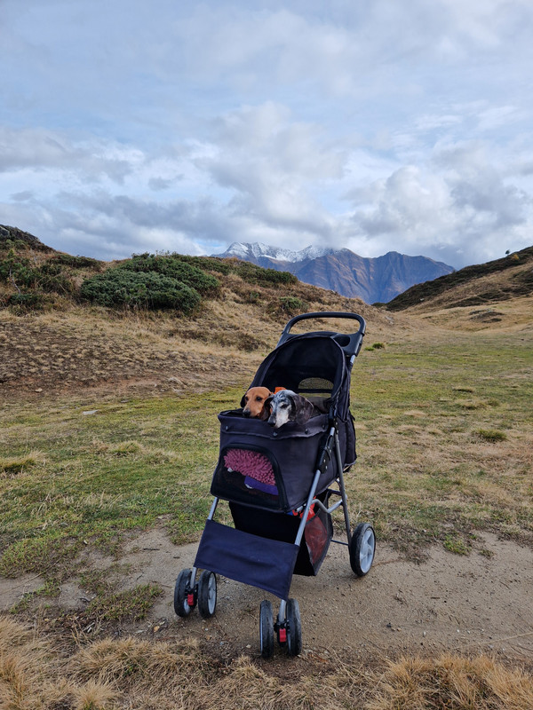 [Image: 20241027-142958.jpg]